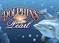 Dolphins pearl classic